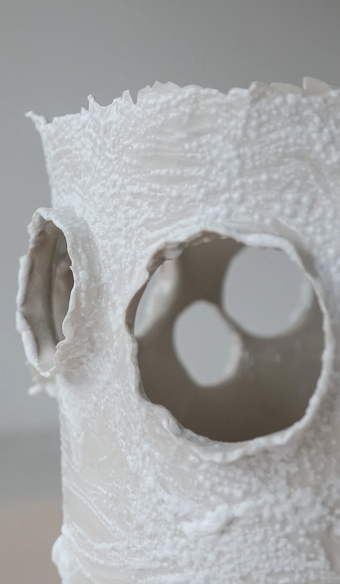 Nathalee Paolinelli Giant Roosting Vessel No. 2 - Image 5