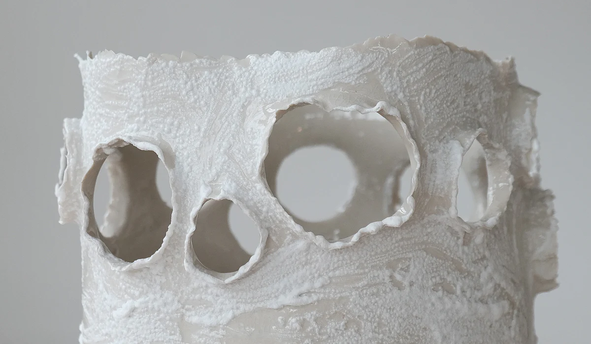 Nathalee Paolinelli Giant Roosting Vessel No. 2 - Image 7