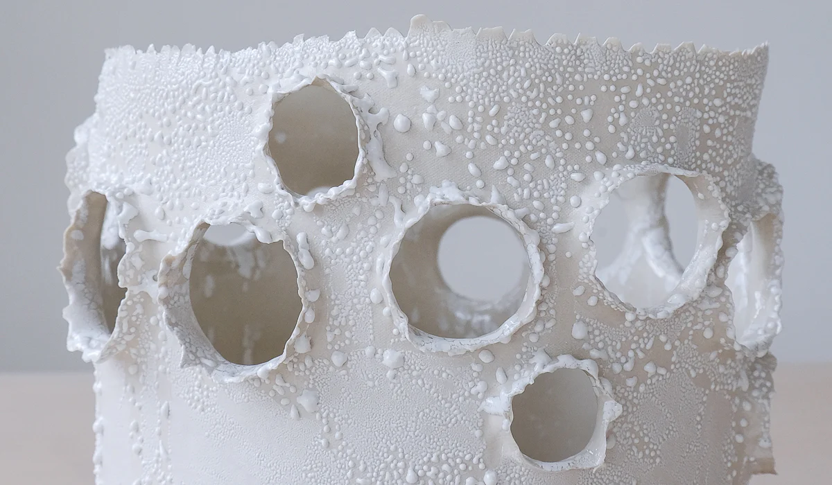 Nathalee Paolinelli Giant Roosting Vessel - Image 4