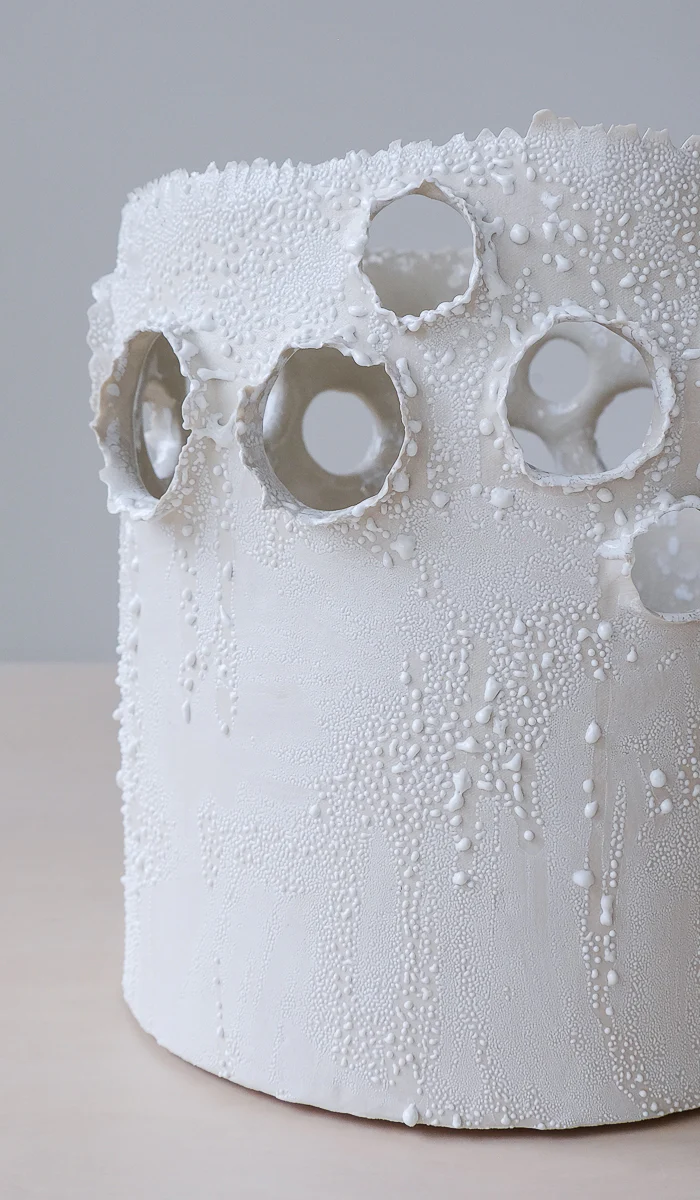 Nathalee Paolinelli Giant Roosting Vessel - Image 5