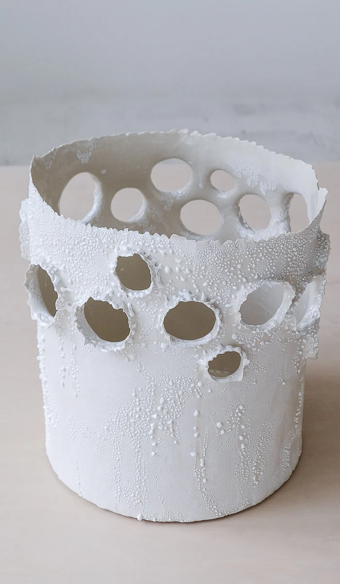 Nathalee Paolinelli Giant Roosting Vessel - Image 6