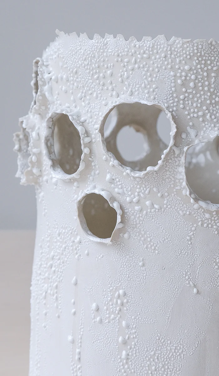 Nathalee Paolinelli Giant Roosting Vessel - Image 8