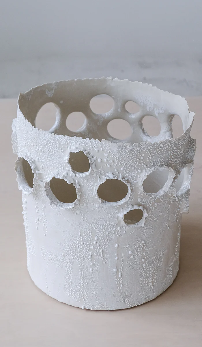 Nathalee Paolinelli Giant Roosting Vessel - Image 9